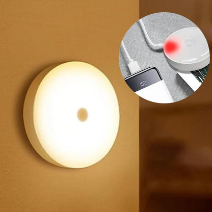 Body Induction Lamp (Motion sensor light)
