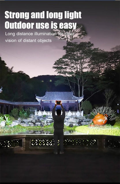 SOLAR PORTABLE LIGHT